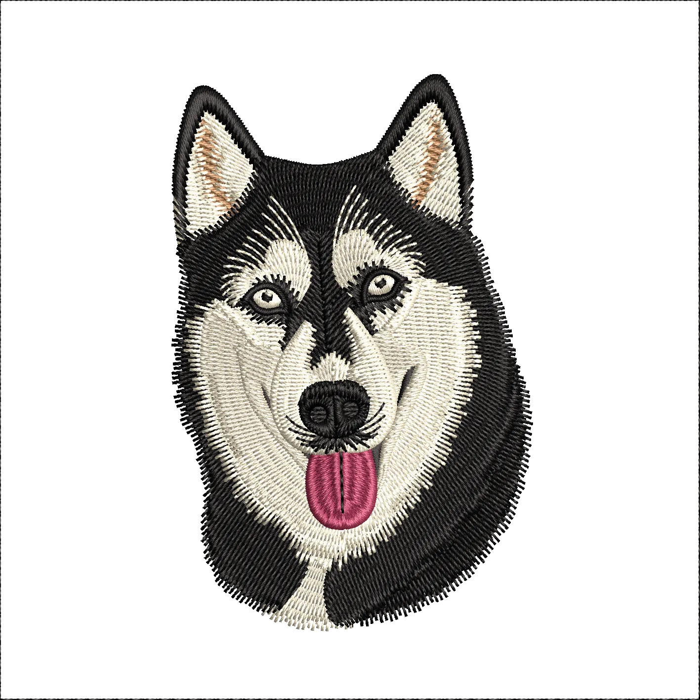 pet Digitizing